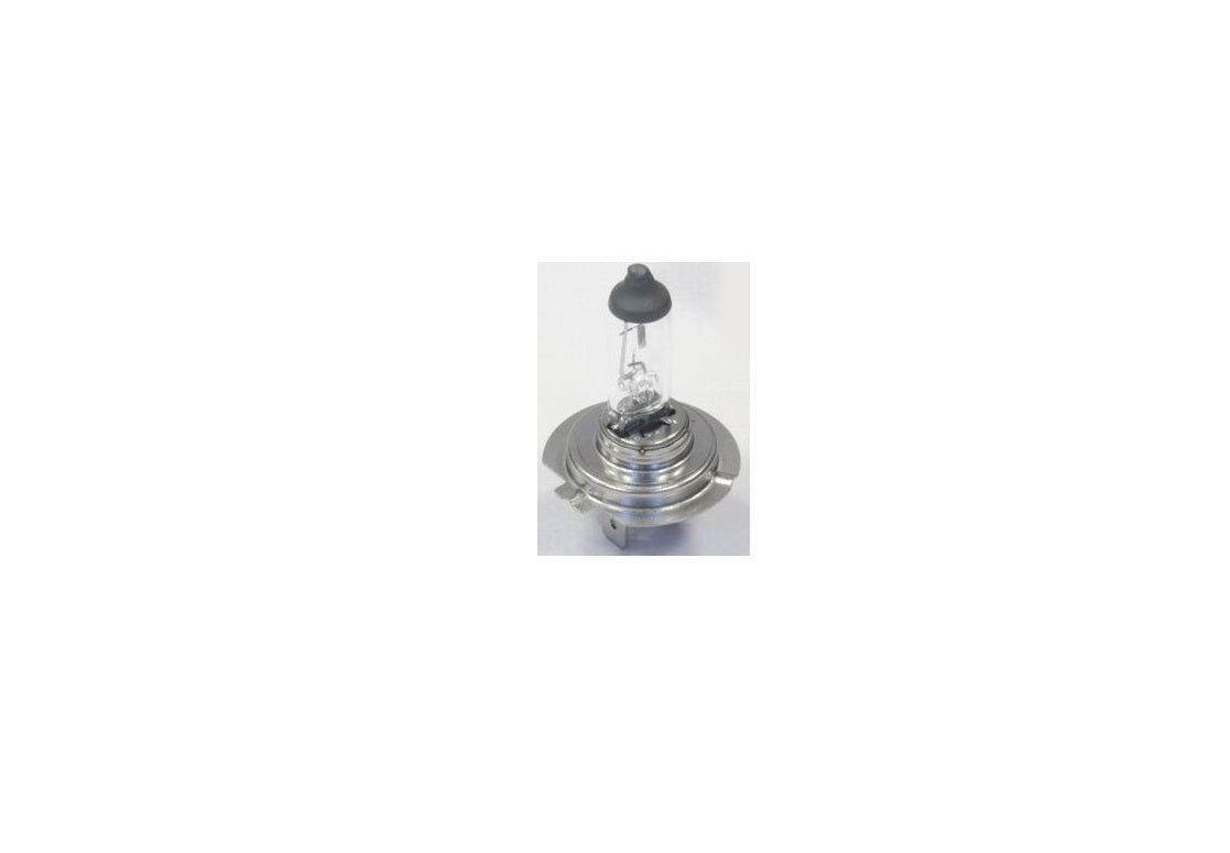Bec H7 12V 55W PX26d