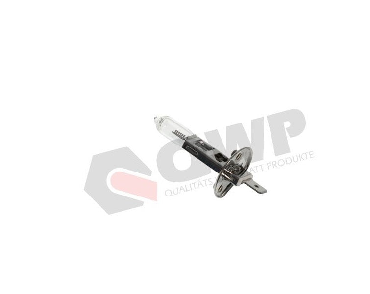 WBE Bec H1 24V 70W P14,5s